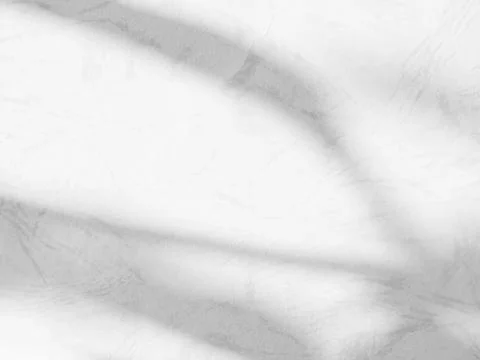 Shadow light summer background sunight overlay nature on room cement wall Stock Photos