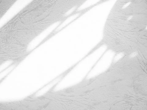 Shadow light summer background sunight overlay nature on room cement wall Stock Photos