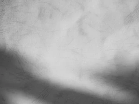 Shadow light summer background sunight overlay nature on room cement wall Fotos de archivo