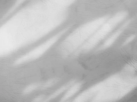 Shadow light summer background sunight overlay nature on room cement wall Stock Photos