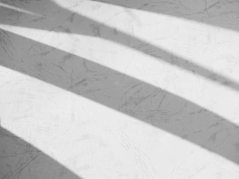 Shadow light summer background sunight overlay nature on room cement wall Stock Photos