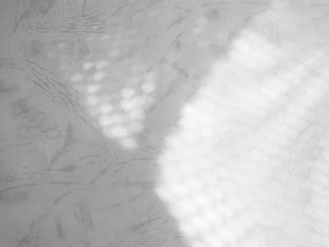 Shadow light summer background sunight overlay nature on room cement wall Stock Photos