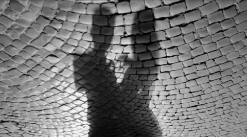 Shadow of lovers on the pavement Stock Footage 41117372