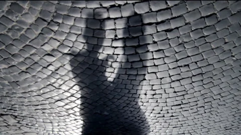 Shadow of lovers on the pavement Vídeos de archivo 41118713