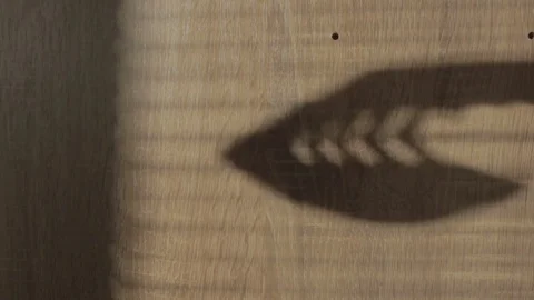 Shadow of machete and knife Stock Footage 70090456