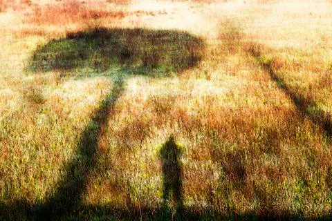 Shadow of man and tree Stock Photos