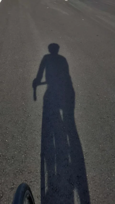 Shadow of A Man Cycling Stock Footage 308133136
