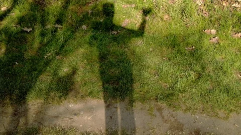 Shadow of a man greets reflected on the lawn Stock Footage 151772340