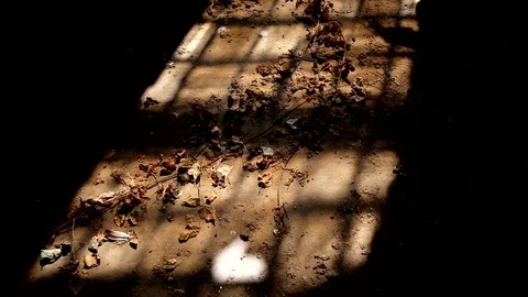 Shadow of a man with gun sneaking in a dark , scary, ruined room Stock Footage 74714829