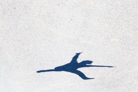 Shadow of a man jumping on the asphalt Stock Photos