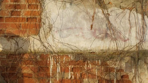 The shadow of a man moves along an old brick wall. Stock-Footage 80823598