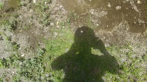 Shadow of Man Shooting Shadow Video stock 296882844