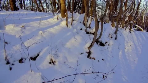 The shadow of a man in the snow Stock Footage 146775907