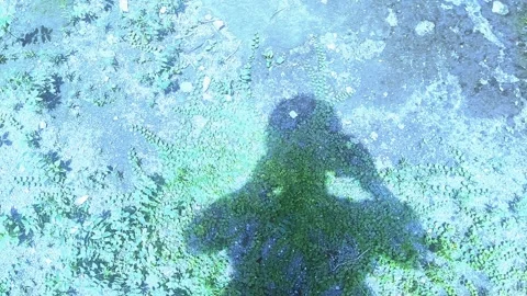 Shadow of Man on Snowy Sand Video stock 296882982