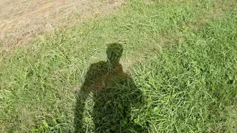 Shadow of Man Walking at Field Under the Sun Stock Footage 141383319