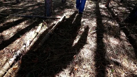 Shadow of a man walking in the forest Stock Footage 87747245