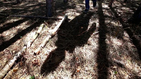 Shadow of a man walking in the forest Stock Footage 87747249