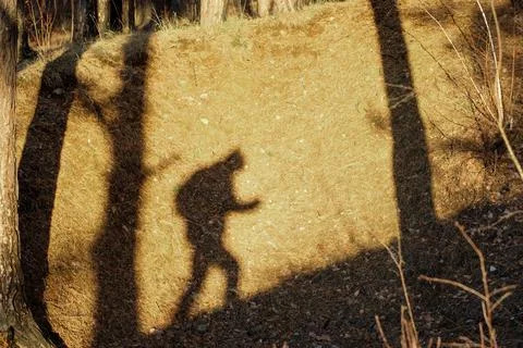 Shadow of a man walking uphill with a backpack among the trees Stock Photos