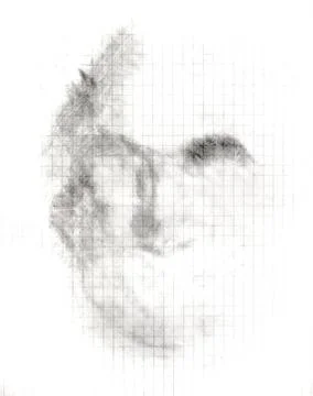 The shadow of a mans face on a notebook sheet, a simple pencil, a sketch. Stock Illustration