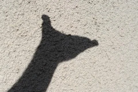 Shadow of a man's hand on the wall. Stock Photos