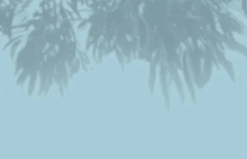The shadow of many tree leaves on a blue wall. Black and white image for photo Stock Illustration