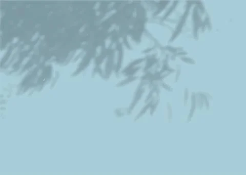 The shadow of many tree leaves on a blue wall. Black and white image for photo Stock Illustration