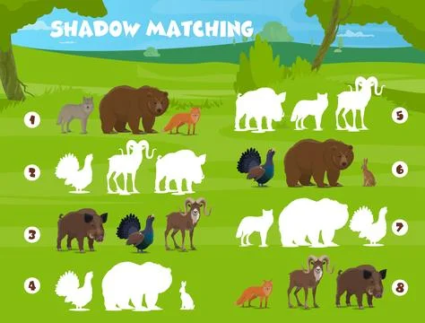Shadow matching game, forest hunting animals birds Stock Illustration