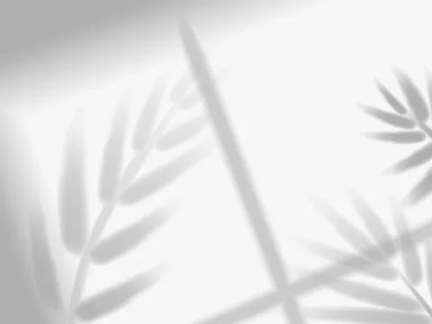 Shadow mockup. Sunlight overlay effect from window frames and tropical plant Illustrazione stock