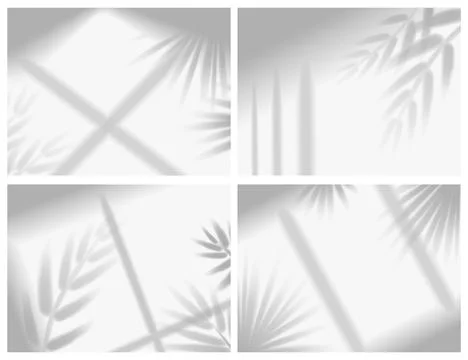 Shadow mockups. Sunlight overlay effect from window frames and tropical plant イラスト素材