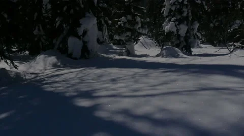 Shadow of the moon reflected on the snow, play of light and shadow Stock Footage 65427863