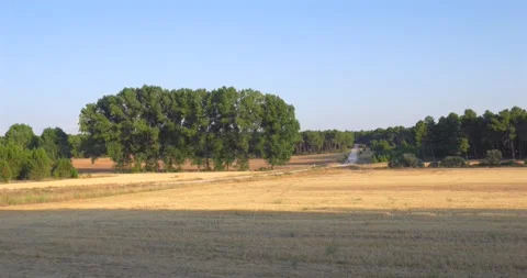 Shadow moving across a golden wheat field in a rural setting Видео 344147264