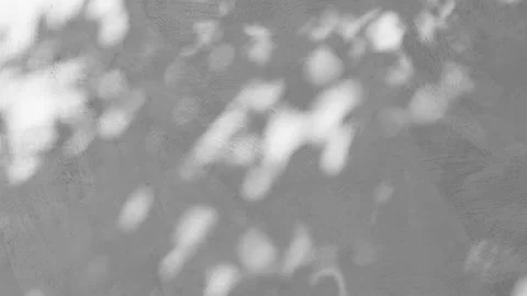 Shadow from moving leaves of a tree on a gray concrete wall, beautiful Vídeos de archivo 160116639
