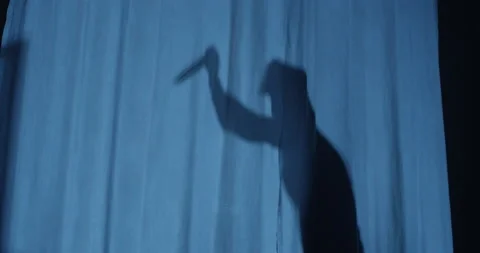 Shadow of the Murderer Killing its Pray with a Knife at Night Video stock 160030592