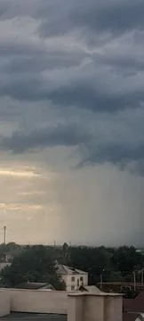 Shadow in nature's canvas Stockfoto's