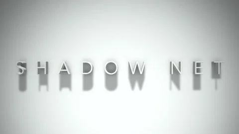 Shadow net 3D title animation with shadows on a white background Stock Footage 297518207