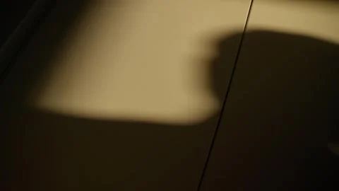 Shadow on office or apartment wall of a man speaking on the phone Stock Footage 311710090