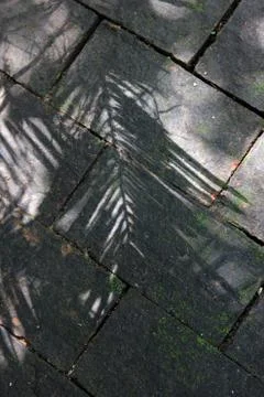 Shadow on the old brick Stock Photos