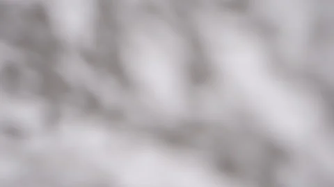 Shadow overlay effect. Blur shadows of plants and tree leaves on a white clean 스톡 동영상 147372303