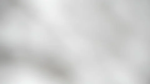 Shadow overlay effect. Blur shadows of plants and tree leaves on a white clean Stock Footage 147745091