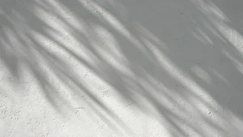 Shadow overlay effect. Blur shadows of plants and tree leaves on a white clean Stock Footage 153454183