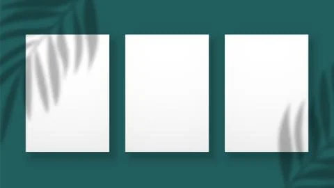Shadow overlay effect. Blurred palm leaves on paper sheets. Vector invitation or Stock Illustration