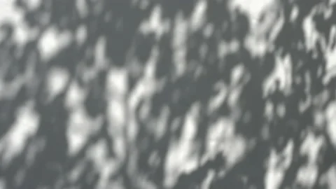 Shadow overlay effect. Blurred shadows o... | Stock Video | Pond5