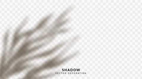 Shadow overlay. Effect light transparent shadow. Realistic creating reflectiv Stock Illustration