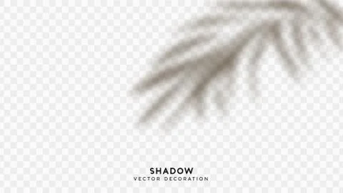 Shadow overlay. Effect light transparent shadow. Realistic creating reflectiv Illustrazione stock