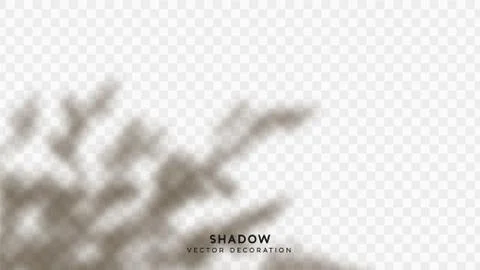 Shadow overlay. Effect light transparent shadow. Realistic creating reflectiv Stock Illustration