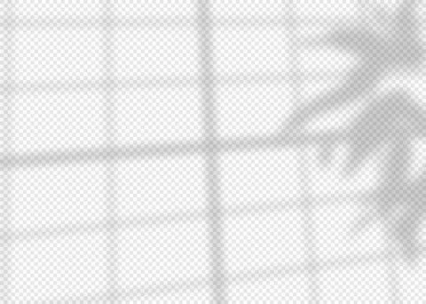 Shadow overlay effect for photo and mockup Illustrazione stock