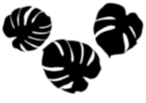 Shadow overlay effect for photo. Blurred shadows from palm leaves and tropical Stock Illustration