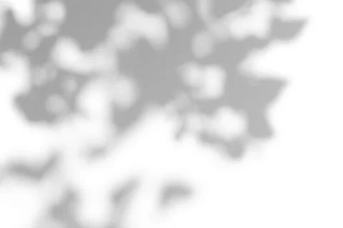 Shadow overlay effect for photo. Shadows from tree leaves and tropical branch Foto stock