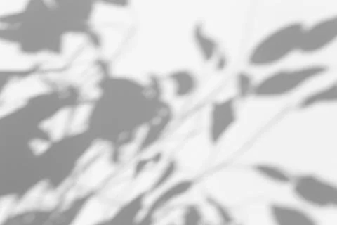 Shadow overlay effect for photo. Shadows from tree leaves and tropical branch Stock Photos
