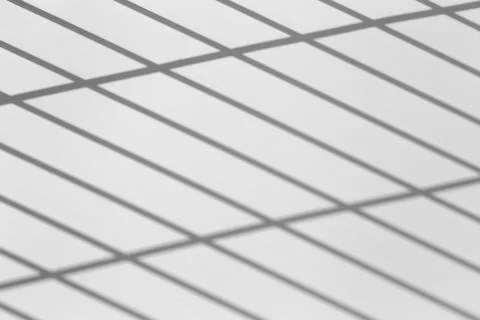 Shadow overlay effect for photo. Shadows from grid lines or grating of a fenc Foto stock